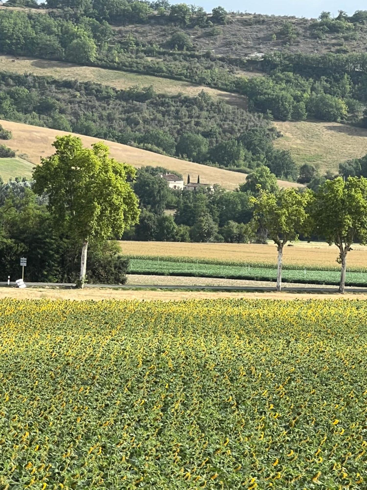 Bed and Breakfast La Bastide De La Bogne Vindrac-Alayrac Esterno foto